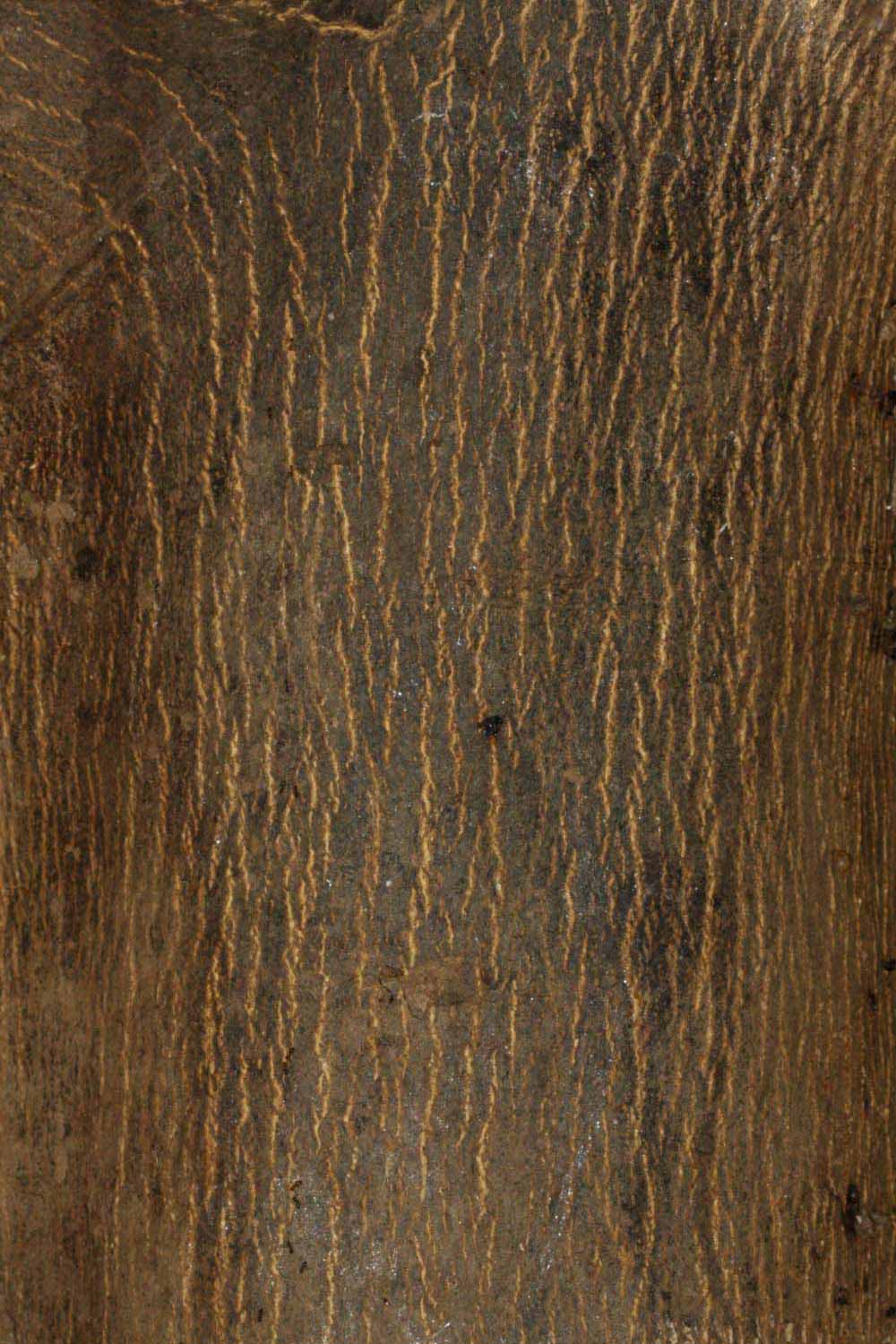            Bark (Riverside, CA)   